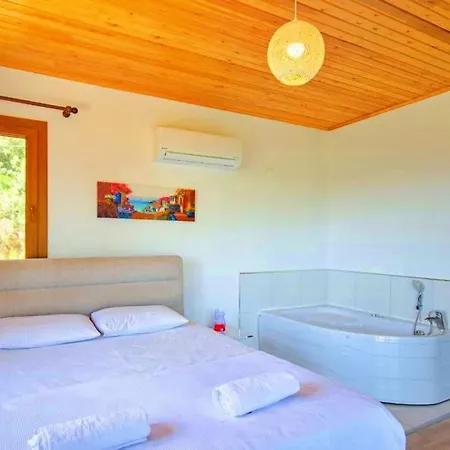 Nature With Pool And Jacuzzi Villa *